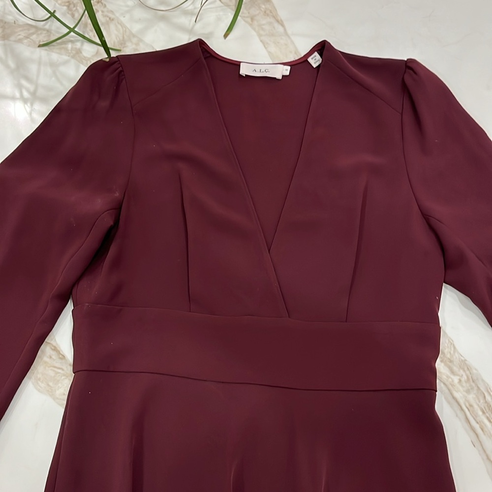 EUC ALC Loyola long sleeve plum fit and flare v neck dress with asymmetrical hem - Picture 10 of 12